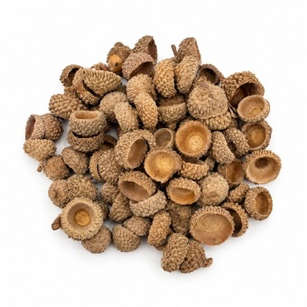 eikel-hoedjes-natuur-acorn-heads-natural-100gr-top