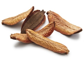 Estrela Kielmeyera Schoten 150 gr.