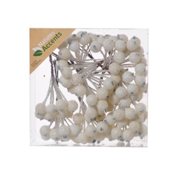 Bessen Gesuikerd Crème 12 x 10 st.