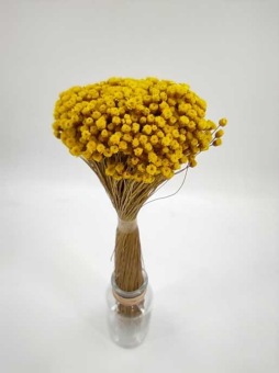 Happy Flower Geel