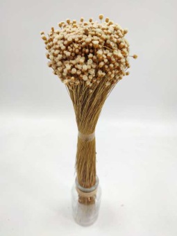 Happyflower natur