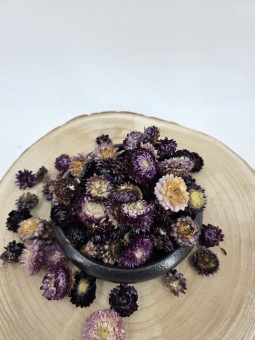 Helichrysum heads purple ca 50 gr.