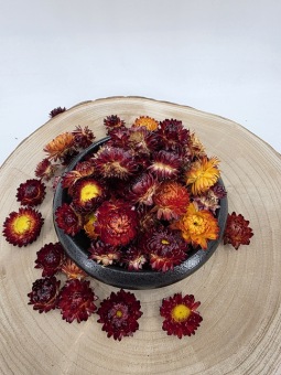 Helichrysum heads red ca 50 gr.