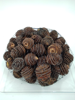 Platyspernum koppen groot 1 kg