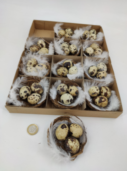 Nest with quail eggs and feathers (12 p.)