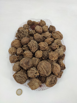 Sant Fruit 1 kg.
