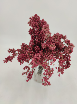 Pepperberries naturel (= rose)