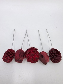 Assortiment Leucadendron op Draad 100 st. Rood
