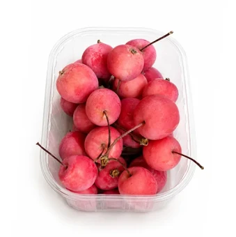 Malus appeltjes herfst creatie vers 20 stuks - bloemschikmateriaal Dentergem