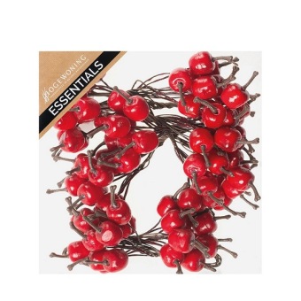 Mini appeltjes rood