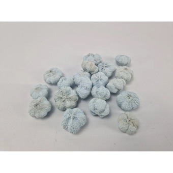 Mini Pumpkin 250 gr Pastel Blauw