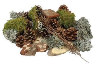 Herbstmischung 'Forest' 500 gr.