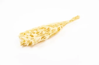 Nigella Oriëntalis Gebleekt