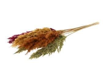 Palm Grass Herfstmix