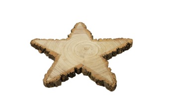 Paulownia star with bark 25 cm