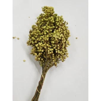 Pepperberries light green