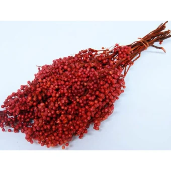 Pepperberries rood