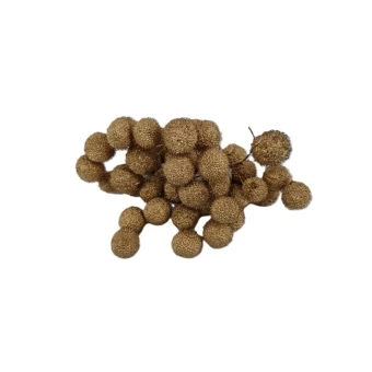 Platane Frucht  250 gr. gold