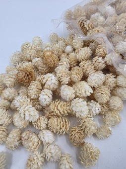 Salignum gebleekt 250 gr.
