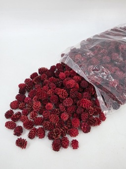 Salignum Rood 250 gr.