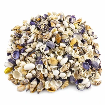 Schelpen mix small 1-3 cm 1 kg