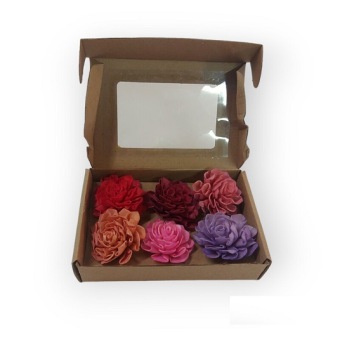 Sola Flower Mix Box 6 st.