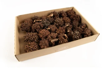 Spidergum Knobs 1 kg. naturel