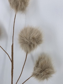 Stem Fluff Ball Light Brown 65 cm