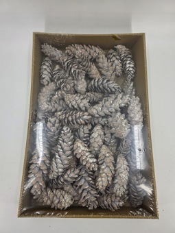 Strobus white wash +/- 25 cm 25 st.