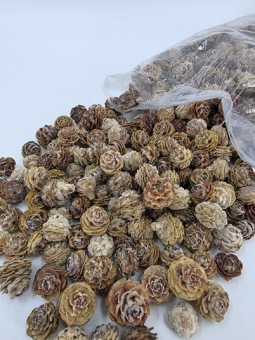 Tortum Naturel 250 gr.