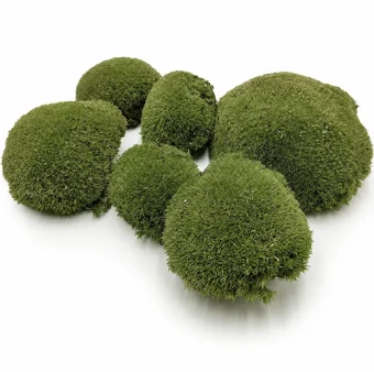Bolmos vers natuurlijk groen 1500 g zak 30 x 40 cm