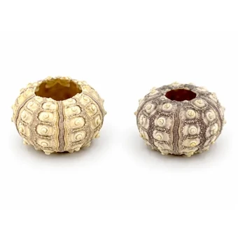 Zee egel Sputnik ca 6 cm 12 st - bloemschikmateriaal - Dentergem