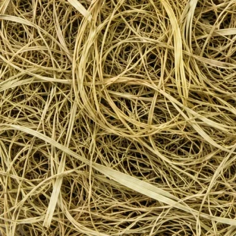 Zeegras 500 gr - bloemschikmateriaal - Dentergem