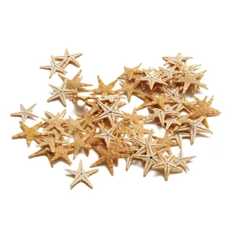 zeester 3-7 cm 100 stuks - bloemschikmateriaal - Dentergem