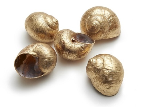 Landslakken Goud 5 cm 12 st. Goud