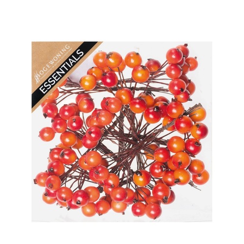 Bessen Oranje 12 x 10 st.