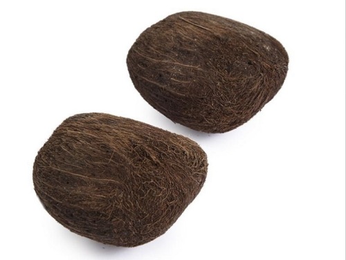 Palm pod 15 p. naturel