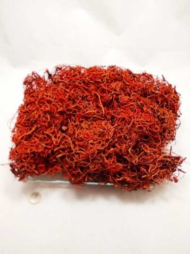 Curly moss 500 gr. orange