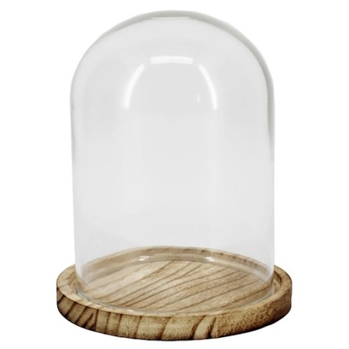 Glazen Stolp met Glazen Sokkel H14.5 D11.5 cm