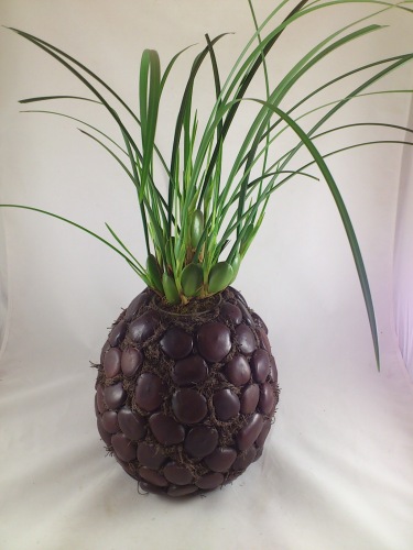 Kulagong 1.5 kg.
