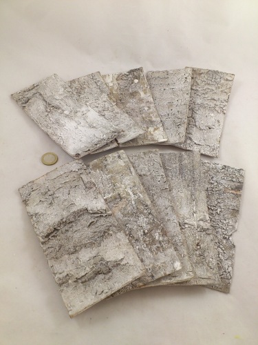 Birch bark white-wash 19x9 cm 10 p.