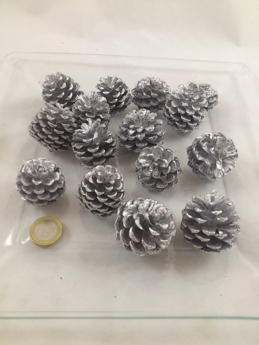 Mugus silver 15 p.