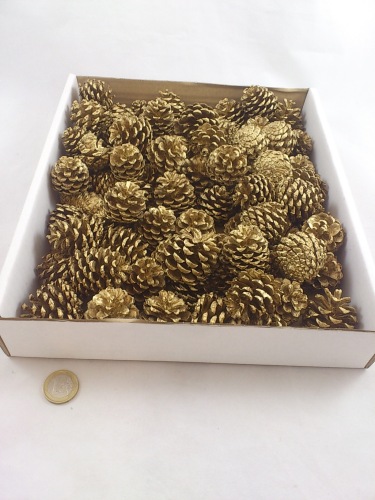 Mugus gold 400 gr. (+/- 75 p.)