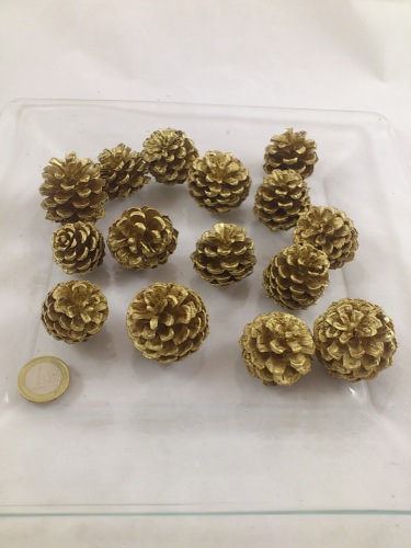 Mugus gold 15 p.
