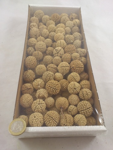 Bullet fruit bleached 250 gr.