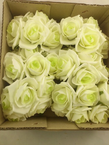 Schaum Rose 6 cm cream lime (6x7 st.)