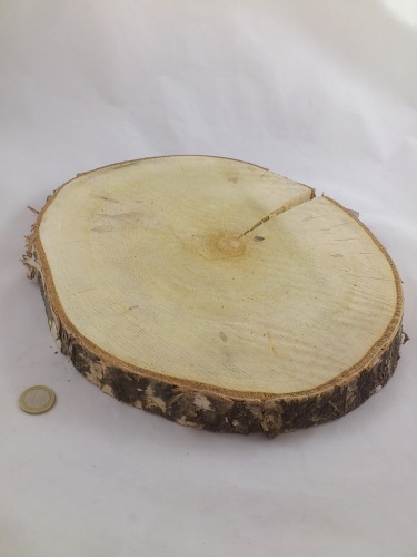 Birch (disk) 30 cm 3 cm thickness