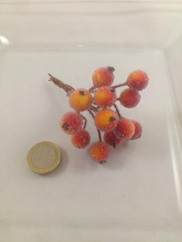 Berries sugared orange 9 x 12 p.