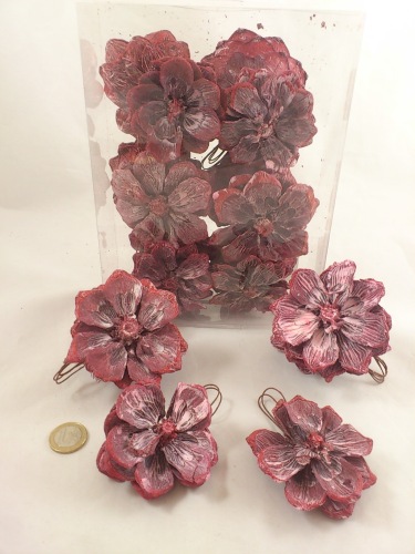 Pinecone flower red white-wash 12 p.