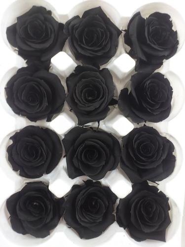 Konservierte rose 12 st.  M ø 4-4.5 cm black